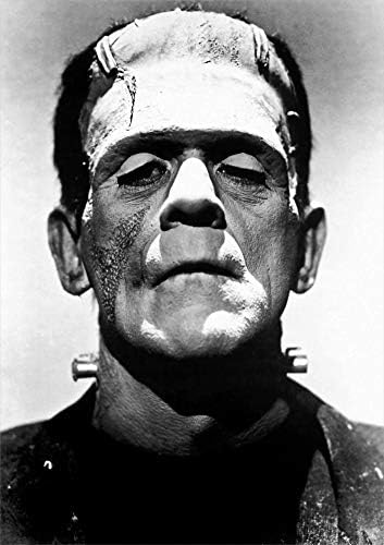 Cybirdy Narrator Dav Kennedy reflects on Frankenstein